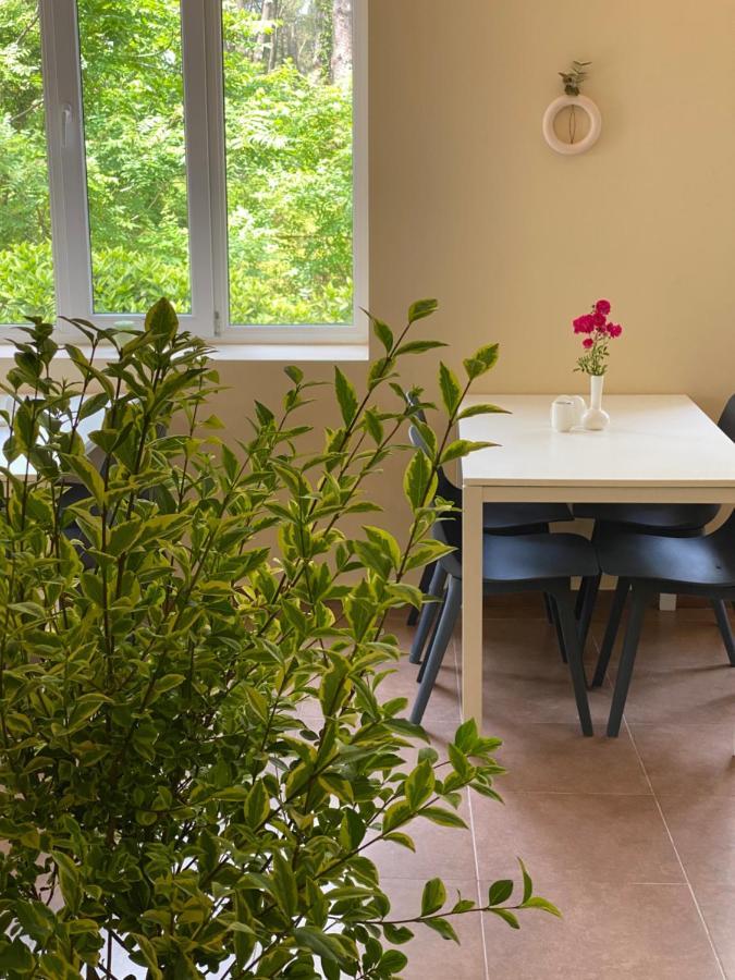 Buxus Hotel Shekvetili Exteriér fotografie