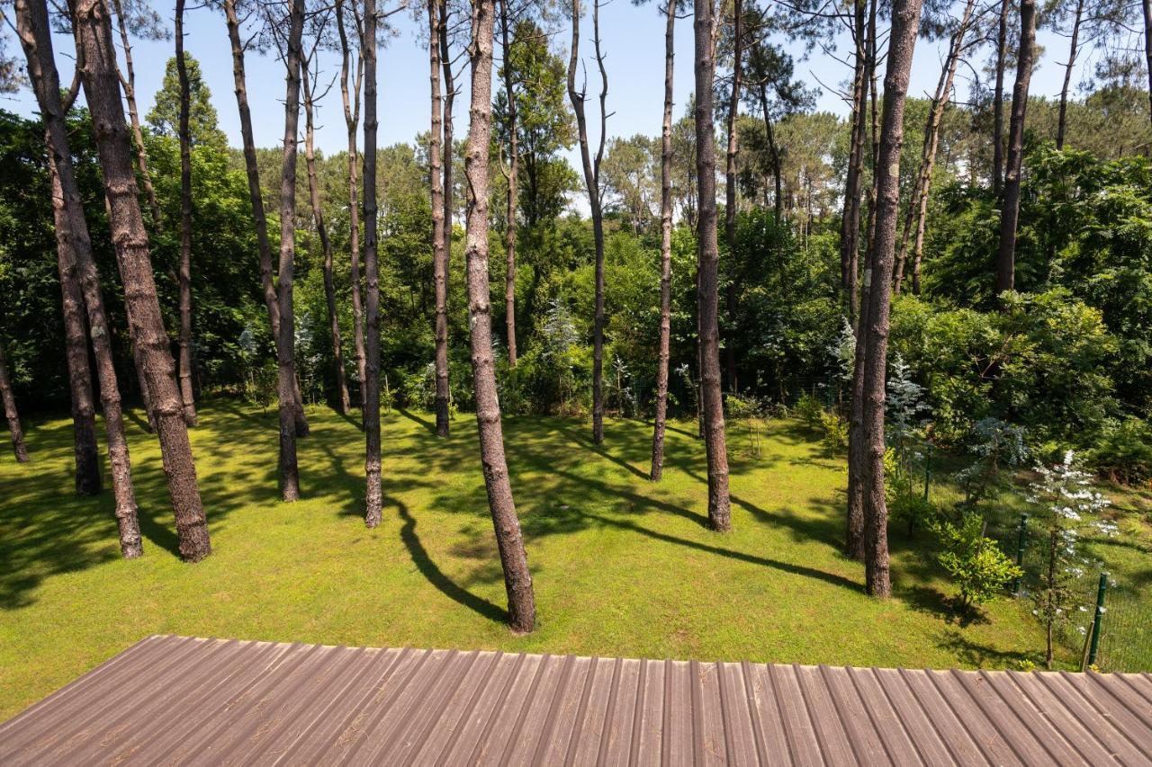Buxus Hotel Shekvetili Exteriér fotografie