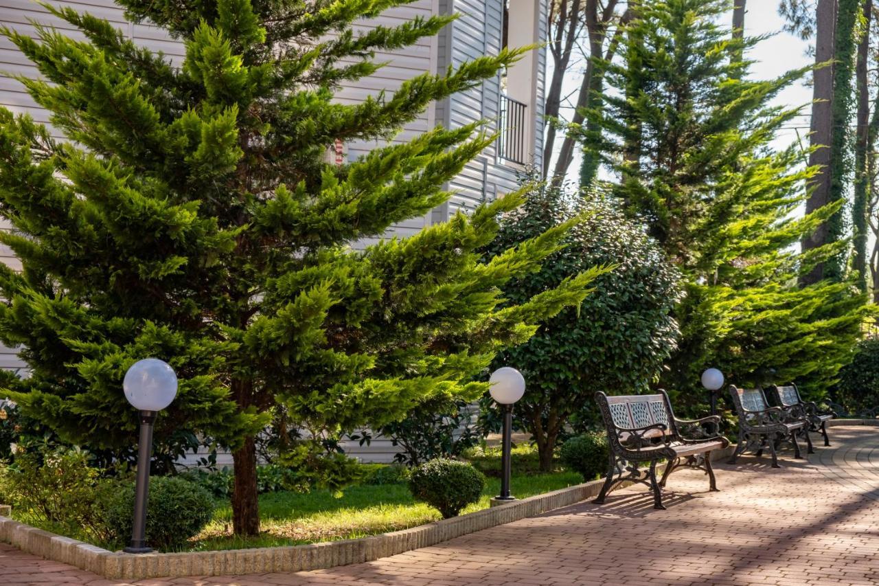 Buxus Hotel Shekvetili Exteriér fotografie