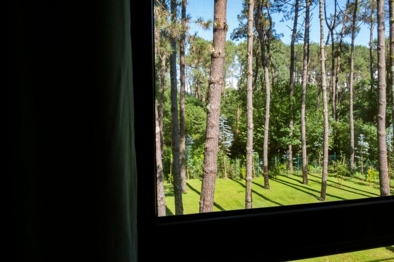 Buxus Hotel Shekvetili Exteriér fotografie