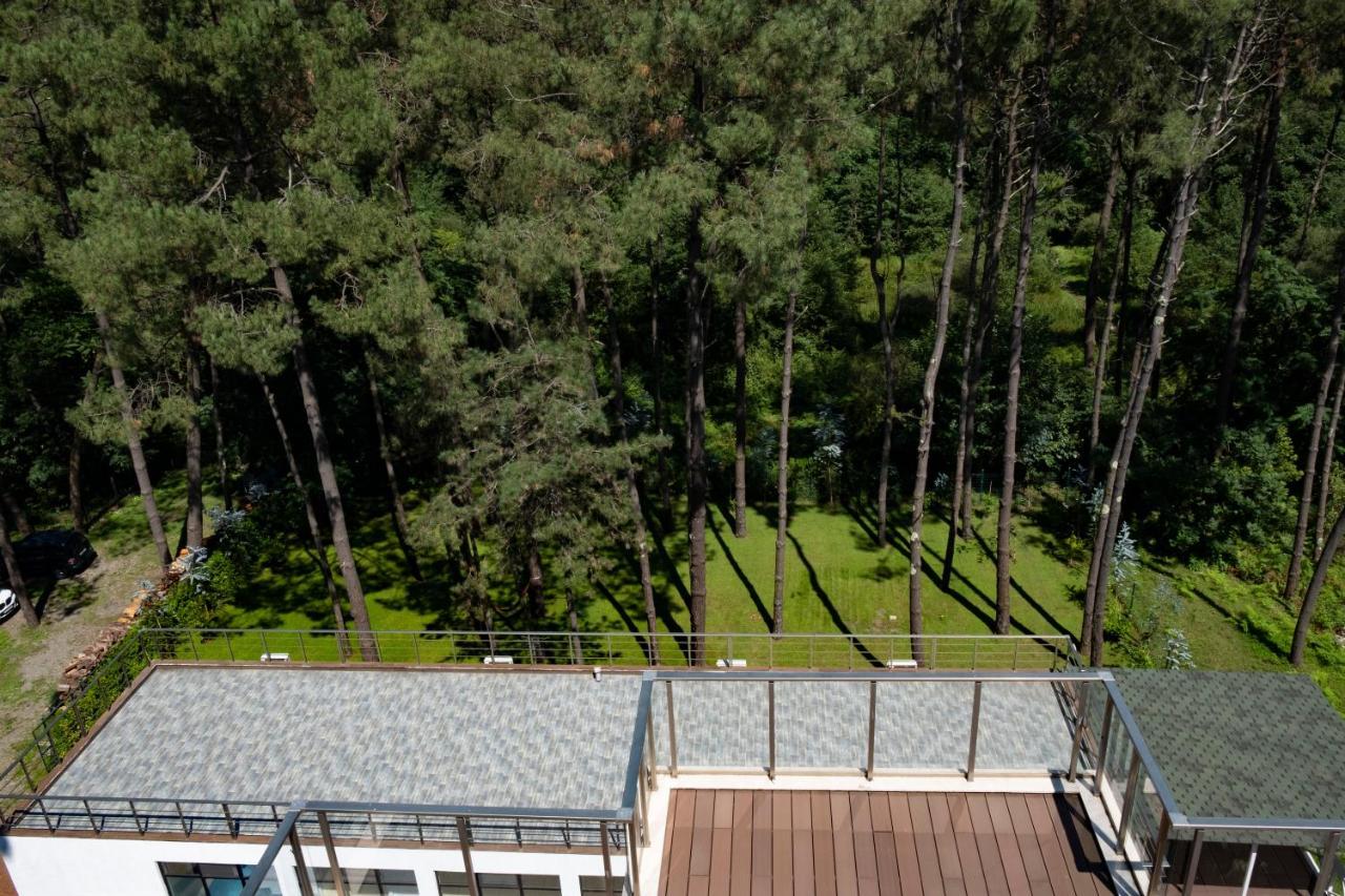 Buxus Hotel Shekvetili Exteriér fotografie