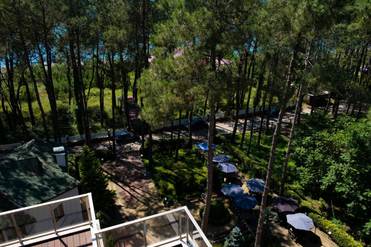 Buxus Hotel Shekvetili Exteriér fotografie