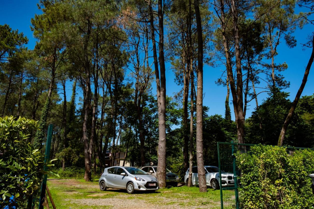 Buxus Hotel Shekvetili Exteriér fotografie