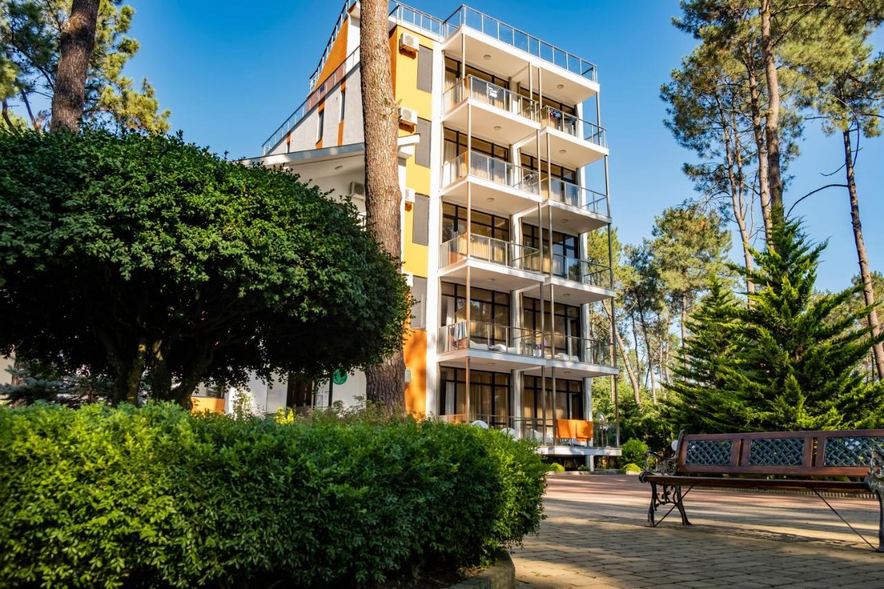 Buxus Hotel Shekvetili Exteriér fotografie